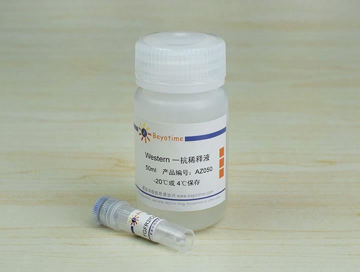 FGFR2/CD332 Mouse Monoclonal Antibody